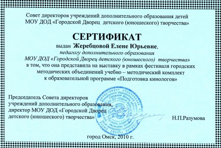 Презентация опыта