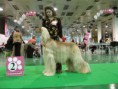 /album/fotogalereya-moi-pitomtsy-uvlecheniya-interesy/ebatv1xo-jpg/